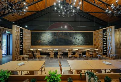 Hotel-Spa-Restaurant nou de Vânzare, 26 Camere, în Padiș, - 2