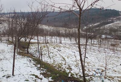 Teren 704 mp Breazu – asfalt + utilități – priveliște spre pădure – ideal casă - 9