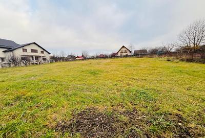 Teren intravilan 1227 mp I Scheia I Suceava - 6