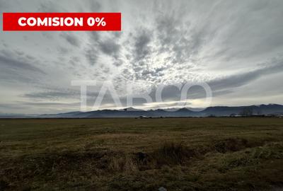 Teren extravilan 4900 mp de vanzare zona Calea Surii Mici Sibiu - 1