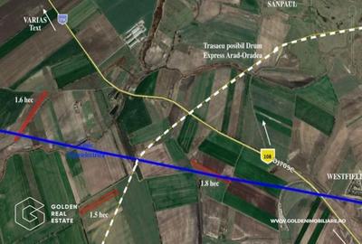 Teren extravilan 23.000 mp, zona Westfield Arad - 1