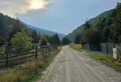 Teren Superb 2900 m2 la doar 20 000 euro Covasna /Valea Lisnău