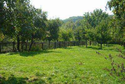 Teren in Agafton cu suprafata de 3800mp - 1