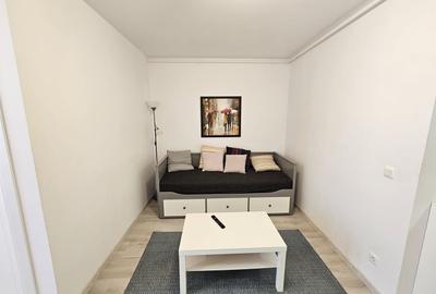 Apartament cu o camera de inchiriat, Hils Pallady - 8