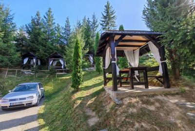 Locație superbă de vânzare, casa de vacanta, locuință, afacere în turism,. - 15