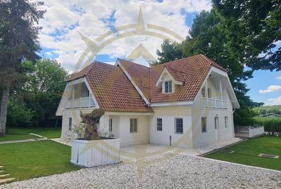 DOM00445 - Vila de poveste la lac cu ponton in Snagov - 7
