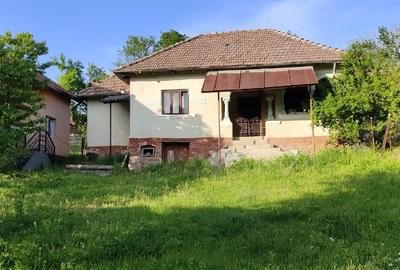 Casa+ casa batraneasca Surupate(Comuna Francesti, Valcea) - 5