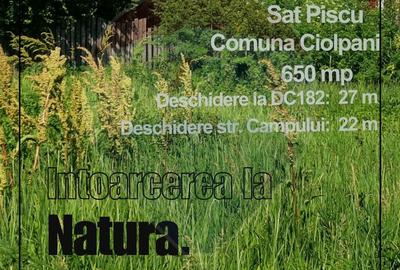 Oportunitate Investiție: Teren in Piscu, Ciolpani–Vizibilitate maxima - 6