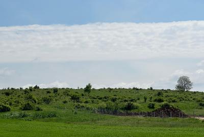 Teren Extravilan de Vanzare, zona Episcopia, Oradea, judetul Bihor - 1