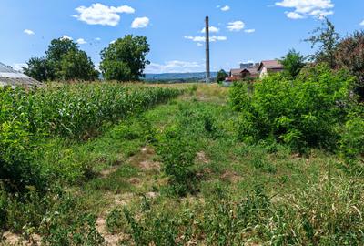 Teren intravilan, Rusi-Ciutea