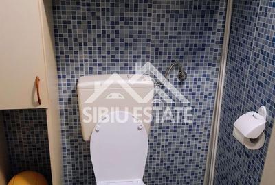 Cabană cu teren și pomi fructiferi Tropinii Noi ,Sibiu - 12