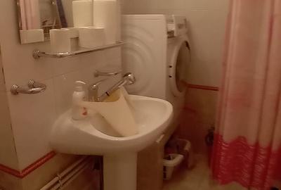 Apartament 3 Camere,B-dul Unirii,DUPLEX,DECOMANDAT,centrala,2 bai,parcare - 12