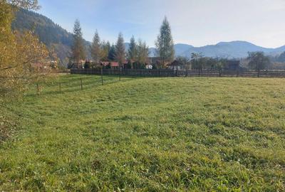 Spre vanzare teren 3662 mp in Campulung Moldovenesc - 10