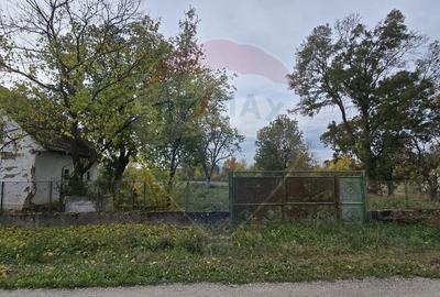 Teren generos cu potential în comuna Silindia, judetul Arad - 3