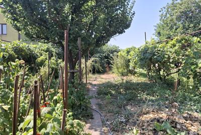 Casa la sol, teren 400 mp, gaz, Ville Noi, 100000 euro - 13
