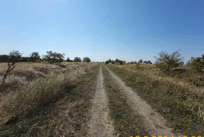 Frumusani post trafo - 5