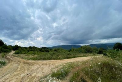 Teren intravilan in satul de vacanta Stupina-Valiug|Lacul Gozna|Partia Valiug