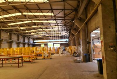 Sp. Industrial -Zona Someseni - Transformator/Pod Rulant/Luminatoare - 4