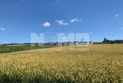 TEREN INTRAVILAN – SF. ILIE| SUCEAVA | 3.500 €/ar - 2