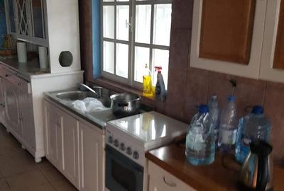 Vila cu 6 camere + 2 case + bazin inot+ 5.934 mp teren  com. Chichis - 19
