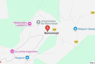 Spațiu comercial, 122 mp în Borovinești