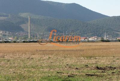 Codlea teren constructii industriale sau logistice 8 ha pana la 24 Ha - 10