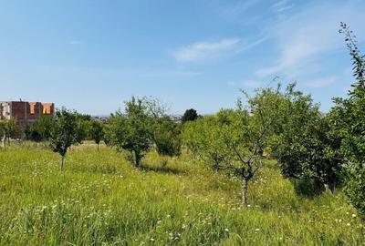 Teren intravilan cu toate utilitatile zona Garii - 3