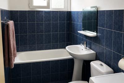 Apartament 3 camere - Podu Ros. Palas. Palatul Culturii - 10