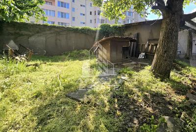 Casa individuala de vanzare, 4 camere, 2 garaje, Lipovei - 29