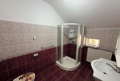 Casa individuala de inchiriat - Pozitie centrala - Mosnita - 19