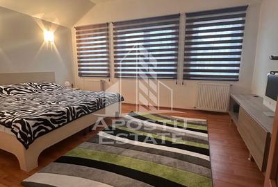 Casa individuala cu 5 camere,mobilata si utilata,Calea Aradului - 11