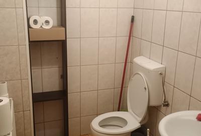 Spatiu comercial Titulescu Banu Manta 260 mp - 7