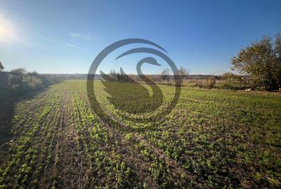 Teren intravilan de vanzare | 12.650 mp | Ghirdoveni, | Comision 0% - 4