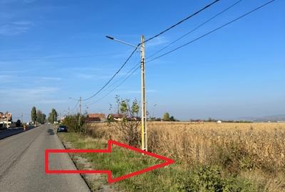 Teren 6.668 mp, de vanzare, loc. BOGDAN VODA, la E-85, com. Saucesti, jud. Bacau - 3