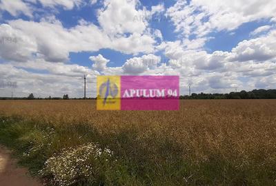 Teren 715mp în Snagov lângă Equestria - 36