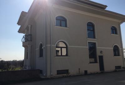 Inchiriere Vila De Lux Baneasa Sisesti - 3