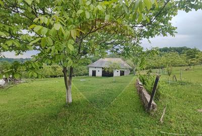 De vanzare casă cu teren 1,17ha la munte, Munteni, Bulz, spre Hiltop - 13