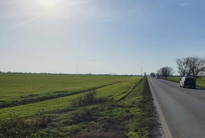 Teren Construcții intravilan de 25000 mp, în Agigea