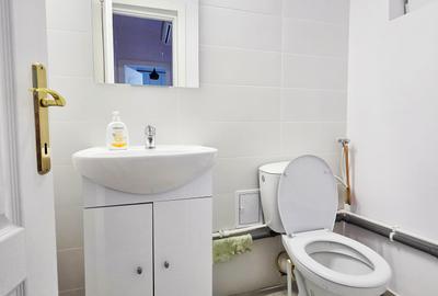 Apartament 3 camere Piata Victoriei - 12