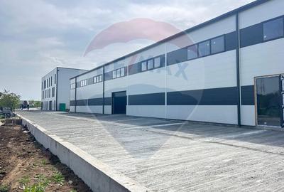 Hala noua de închiriat 595 mp, Chitila iesire la centura - 3