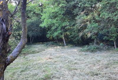 Vand teren intravilan cu toate utilitatile in zona Platou-Cornesti - 4