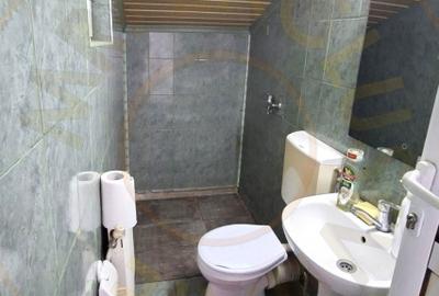 Inchiriere Spatiu comercial 130 mp Craiovei-Doja cu parcare - 7