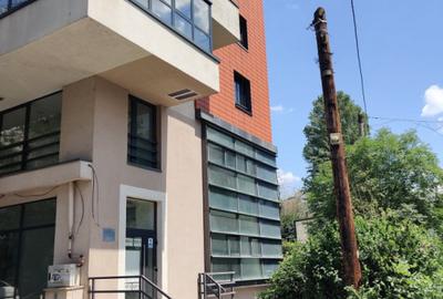 Spatiu de retail cu multiple functiuni in zona Titulescu - Banu Manta - 2