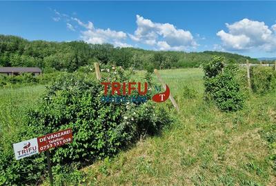 Teren Construcții intravilan de 772 mp, în Teleac