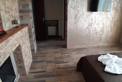 Vila cu 16 camere, ideala pentru azil de batrani sau turism - 18