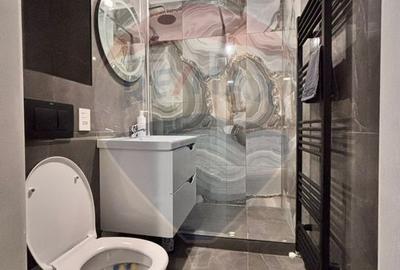 Apartament cu 1 camere de vânzare gata de inchiriat în zona DECEBAL - 13