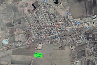 Teren de vanzare in Faurei (Braila)_OMV Petrom SA - 1