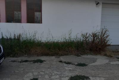 Hala - Valu lui Traian - 165.000 euro (Cod E6) - 8
