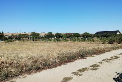 Teren intr. în centrul satului Brebeni, lângă Slatina. Împărțit în 4 parcele. - 5