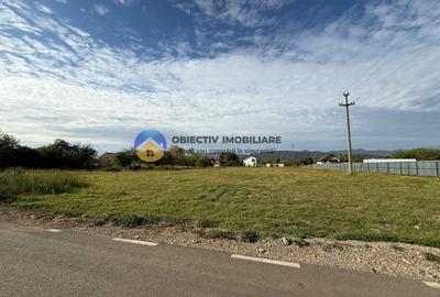 Teren de vanzare 1800 mp – Dumbrava Rosie - 1